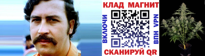 Где купить наркоту Шенкурск Бошки Шишки  МЕФ  Alpha-PVP  блэк спрут   ГАШИШ 