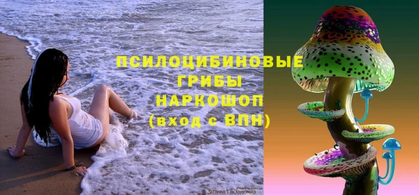 MDMA Медвежьегорск