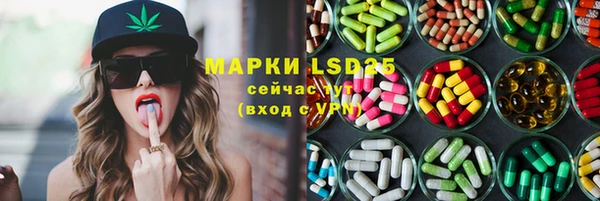 герыч Бердск