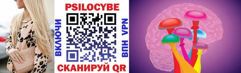 Псилоцибиновые грибы Cubensis Шенкурск
